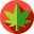 Recreational Weed